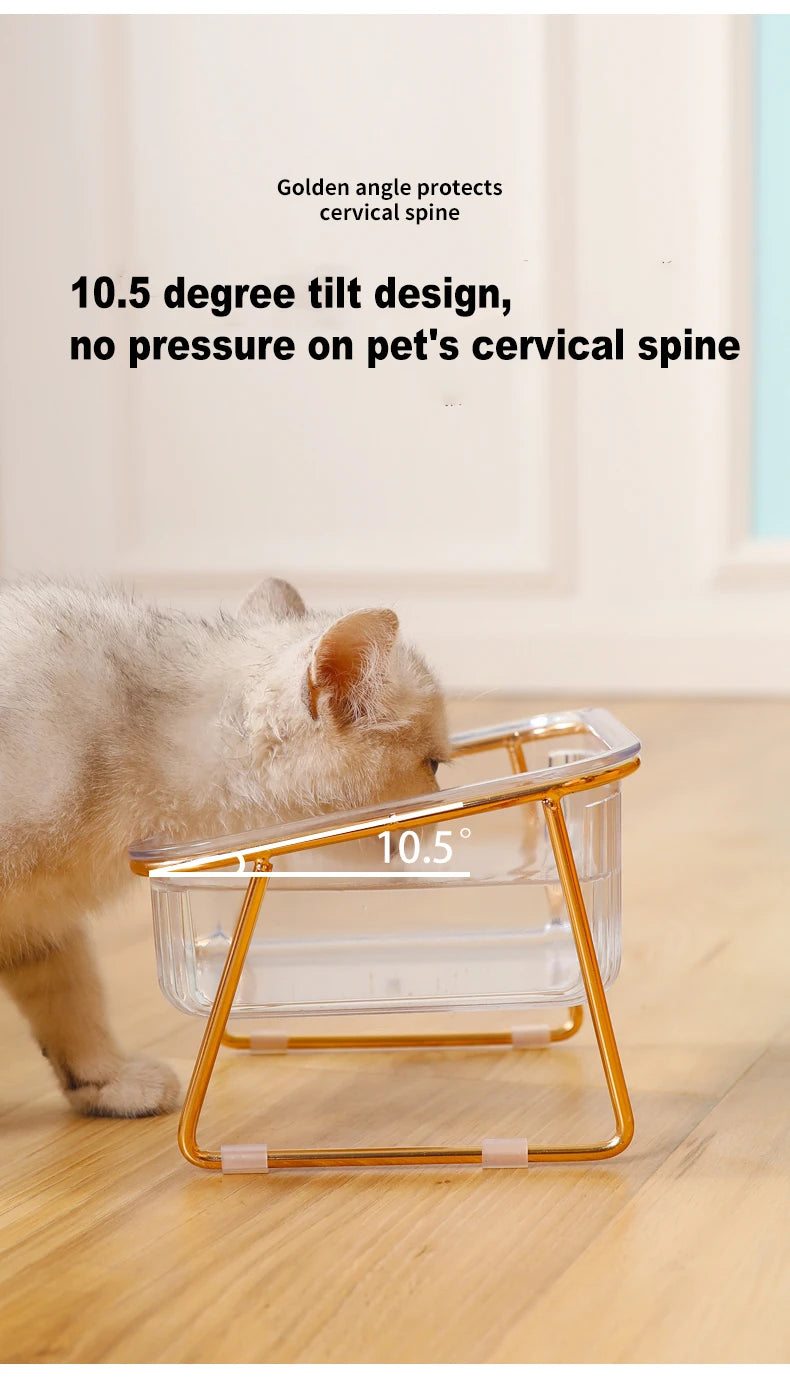 Raised double bowl feeder for cats and dogs