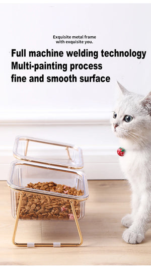 Raised double bowl feeder for cats and dogs