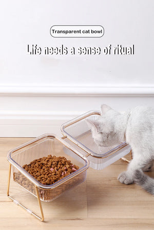 Raised double bowl feeder for cats and dogs