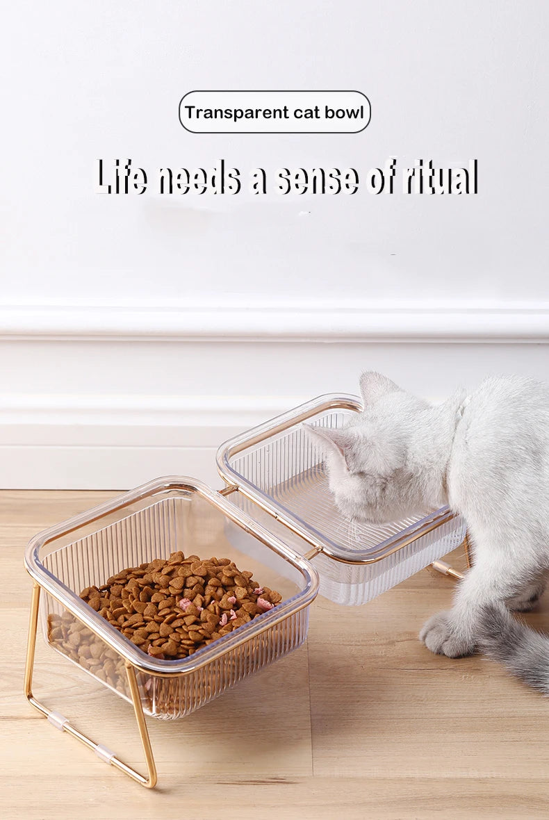 Raised double bowl feeder for cats and dogs