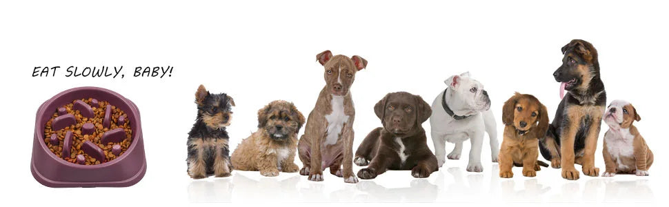 Non-slip slow feeder puzzle bowl for dogs
