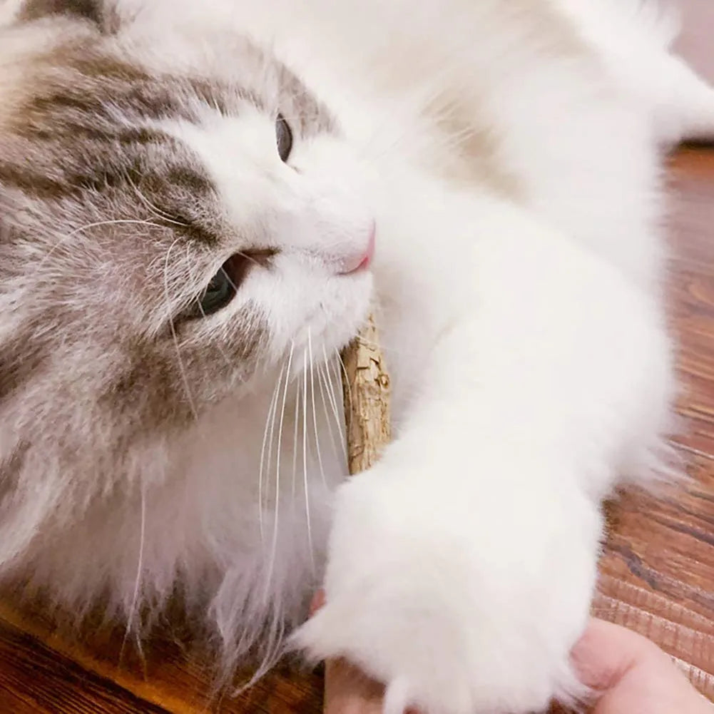 Natural matatabi silvervine chew sticks for cats