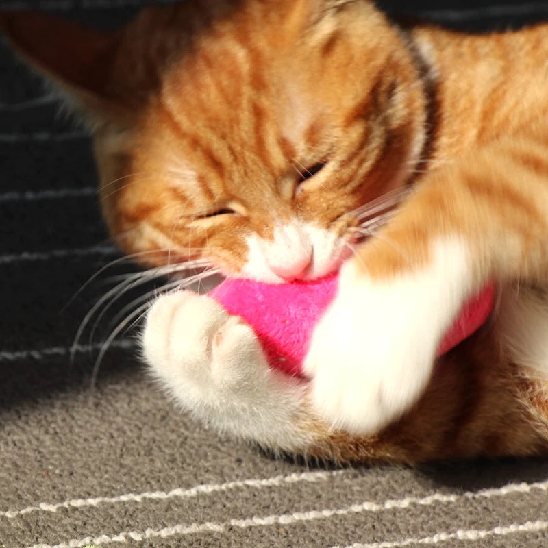 Soft plush catnip chew toy for cats and kittens