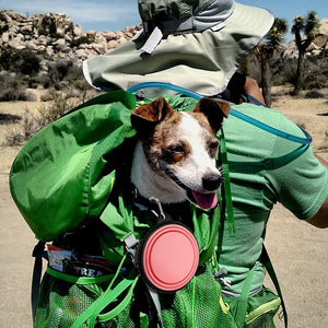 Collapsible Silicone Pet Bowl - GoPoofy