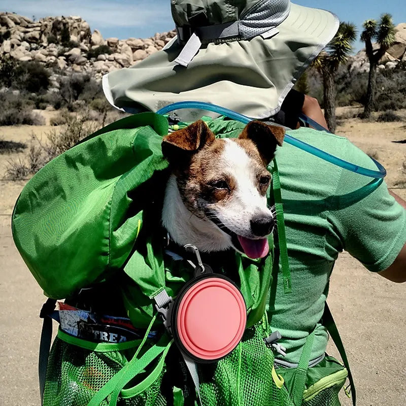 Collapsible Silicone Pet Bowl - GoPoofy
