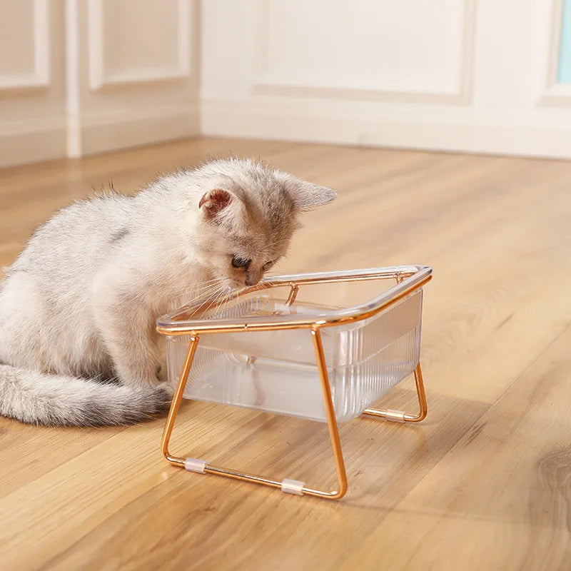 Raised double bowl feeder for cats and dogs