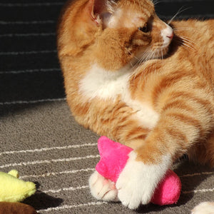 Soft plush catnip chew toy for cats and kittens