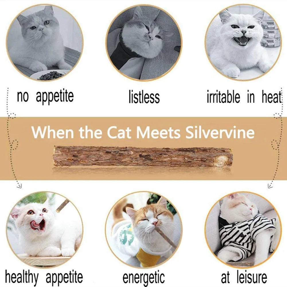 Natural matatabi silvervine chew sticks for cats