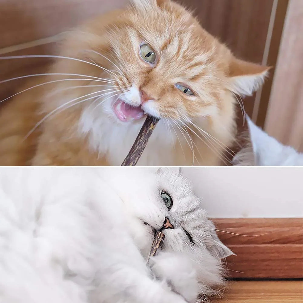 Natural matatabi silvervine chew sticks for cats