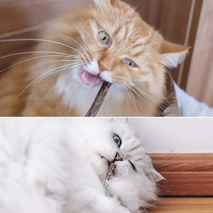 Natural matatabi silvervine chew sticks for cats