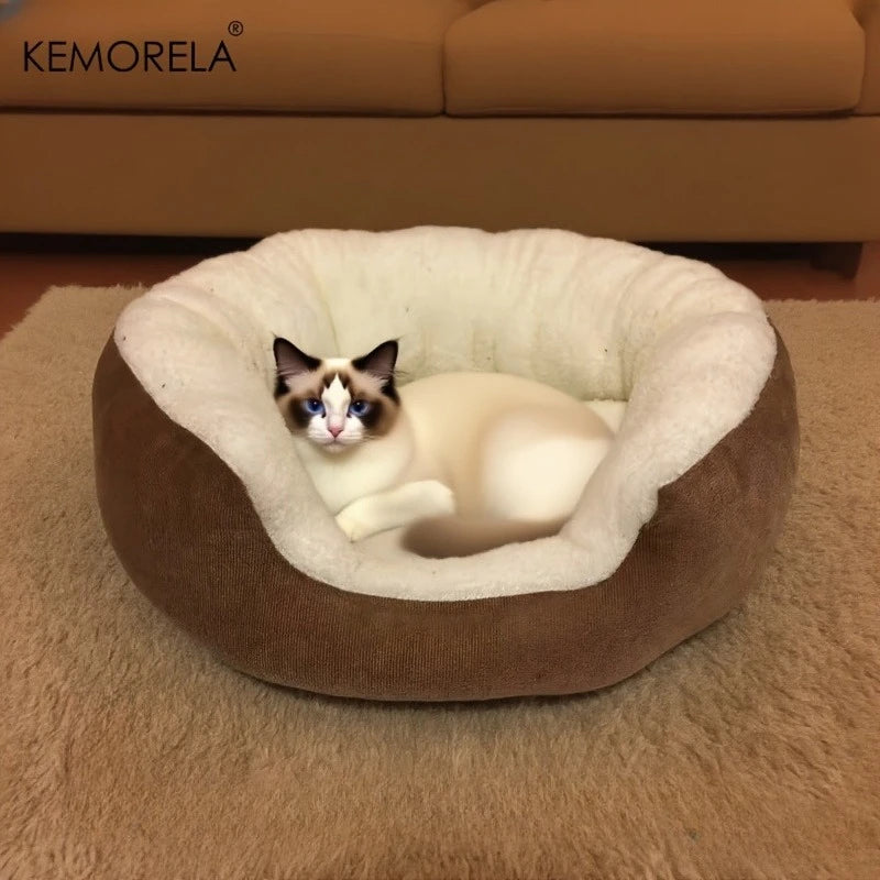 Plush orthopedic pet bed with backrest for cats and small dogs