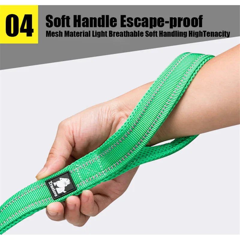 Truelove Reflective Mesh Dog Leash: Padded Comfort & Safety - GoPoofy