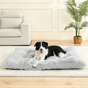 Soft plush cotton sofa bed for dogs and cats