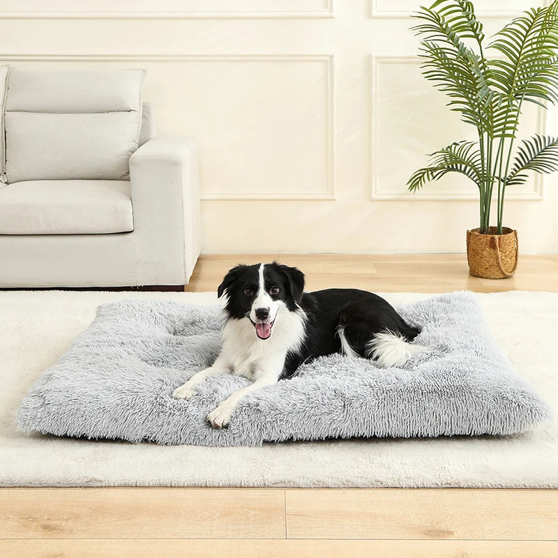 Soft plush cotton sofa bed for dogs and cats