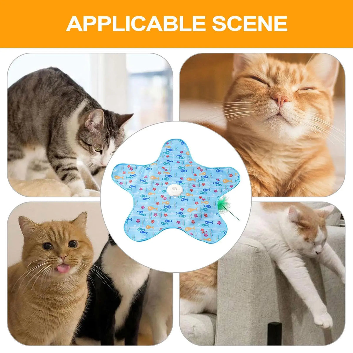 Motion-activated hide and seek feather teaser toy for cats
