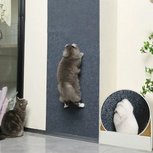 Compact self-adhesive scratch pad to protect furniture from cats