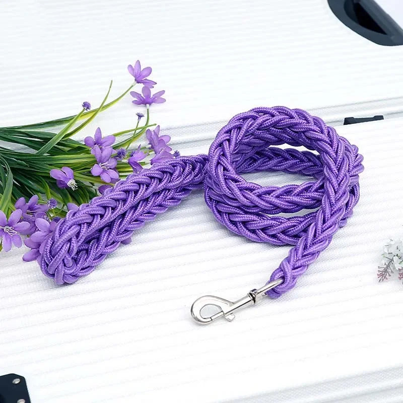 Braided nylon rope leash for medium to large dogs