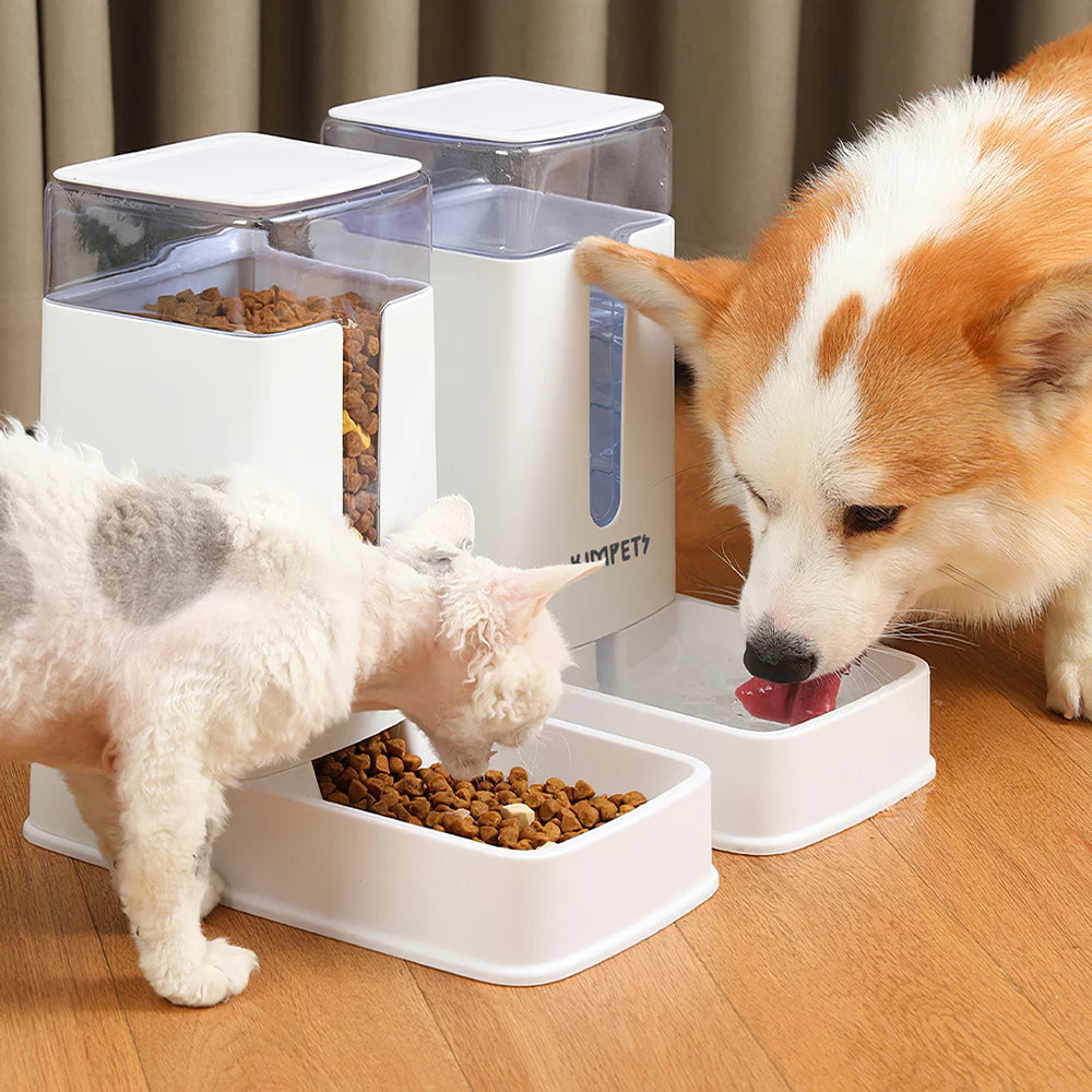2-in-1 automatic feeder and water dispenser for dogs and cats