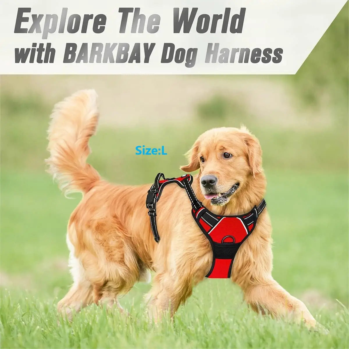 Front-clip reflective no-pull harness for medium to large dogs