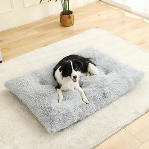 Soft plush cotton sofa bed for dogs and cats