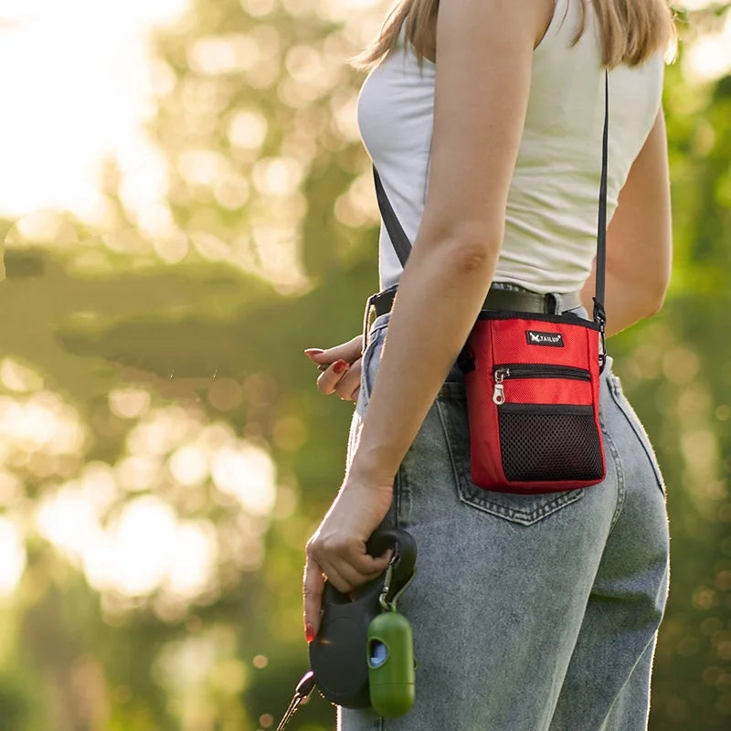 Portable training treat waist bag for dogs