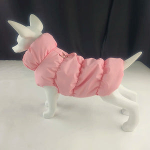 Insulated winter jacket for dogs and cats