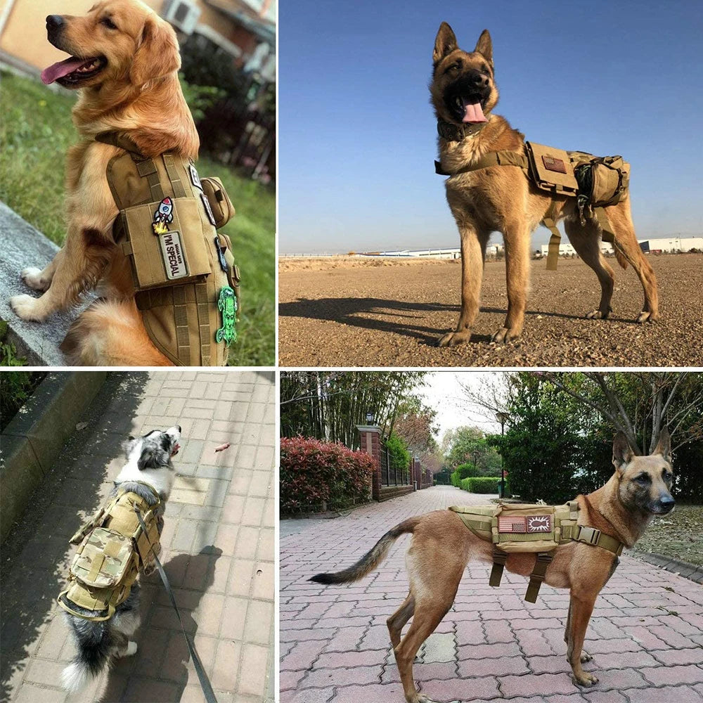 Hook-and-loop ID patches for tactical dog harnesses and vests