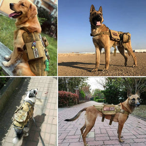 Hook-and-loop ID patches for tactical dog harnesses and vests