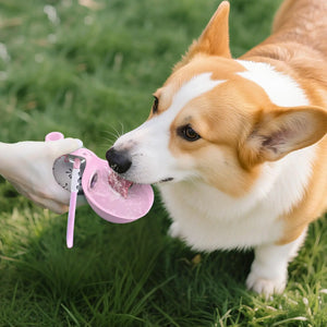 Leak-proof stainless steel water bottle with bowl attachment for dogs