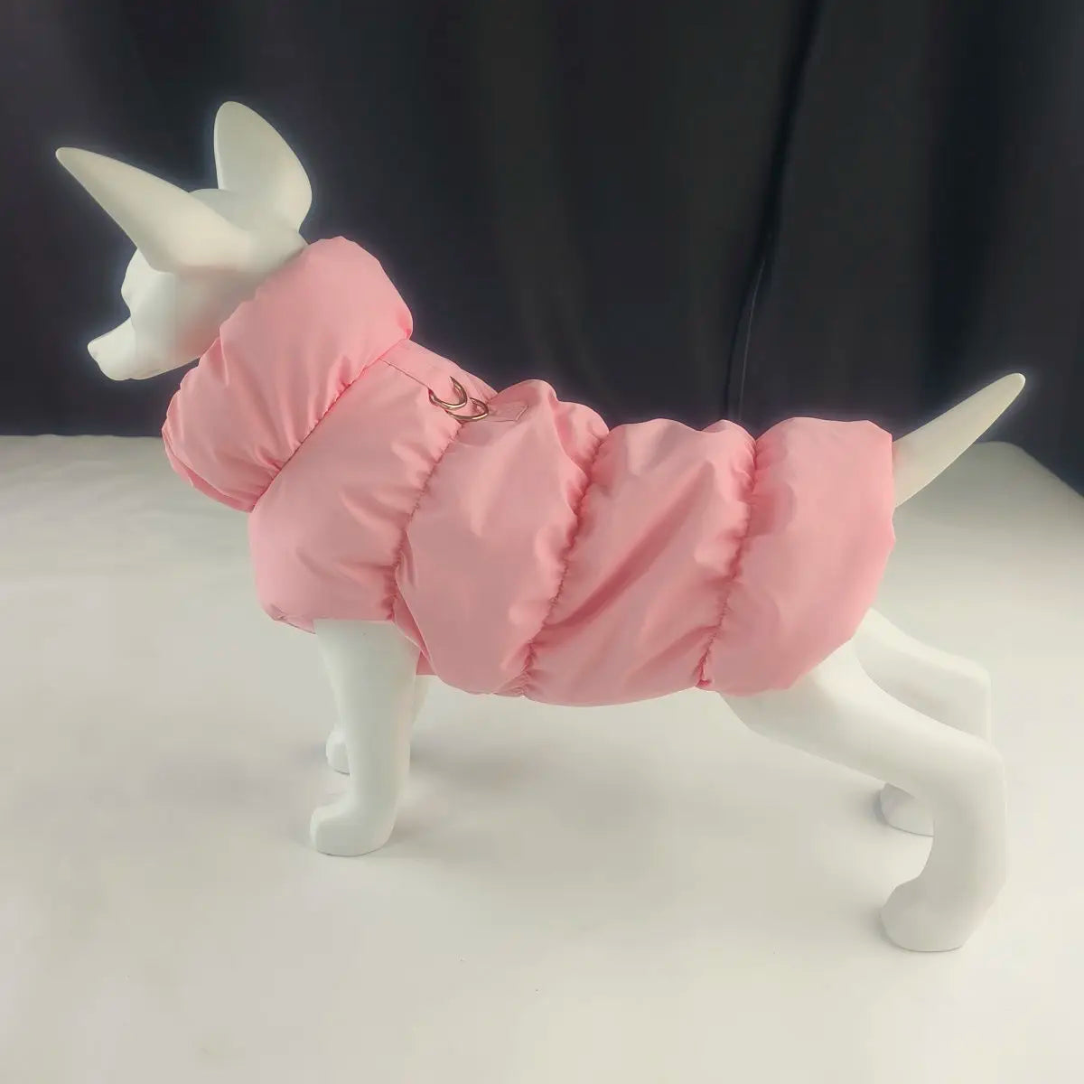 Insulated winter jacket for dogs and cats