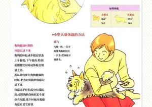 Digital LED pet thermometer for dogs and cats