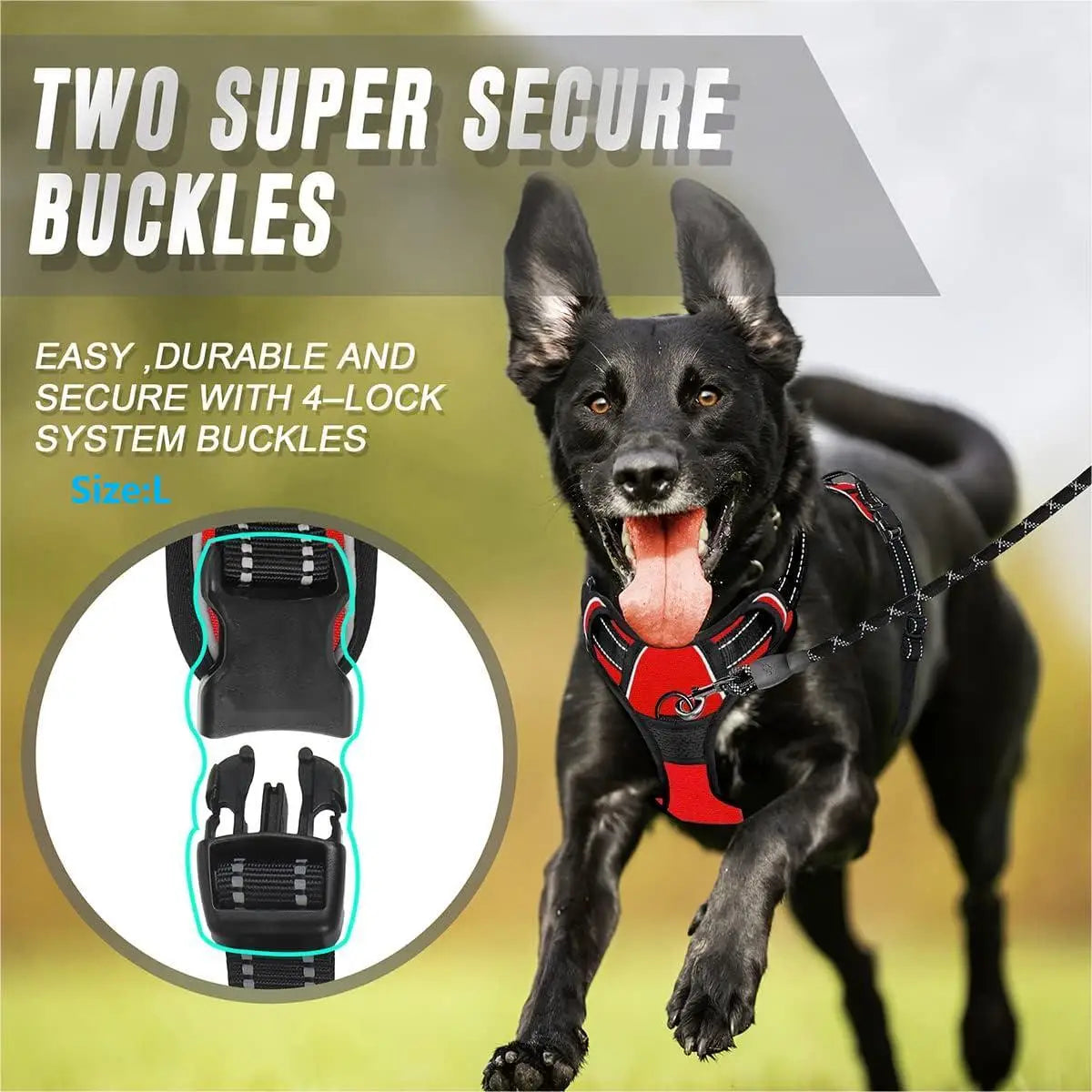 Front-clip reflective no-pull harness for medium to large dogs