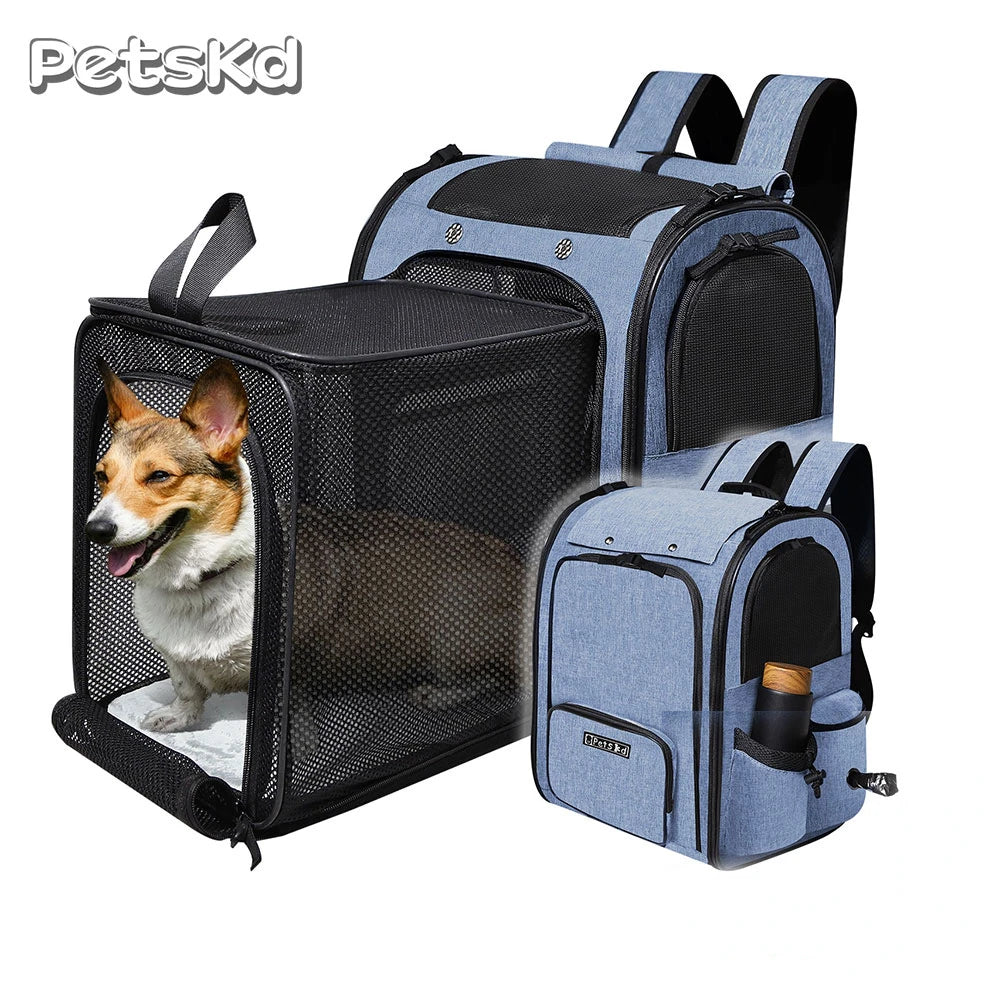 Expandable mesh backpack pet carrier for cats and small dogs