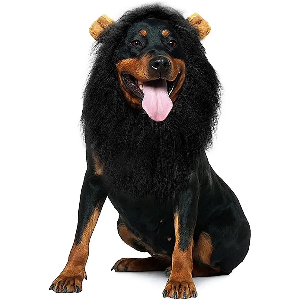 Lion mane costume wig for medium to large dogs