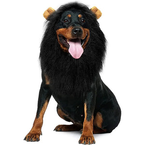 Lion mane costume wig for medium to large dogs