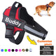 TailoredPaws Reflective Dog Harness - GoPoofy
