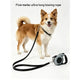 Automatic retractable walking leash for dogs and cats