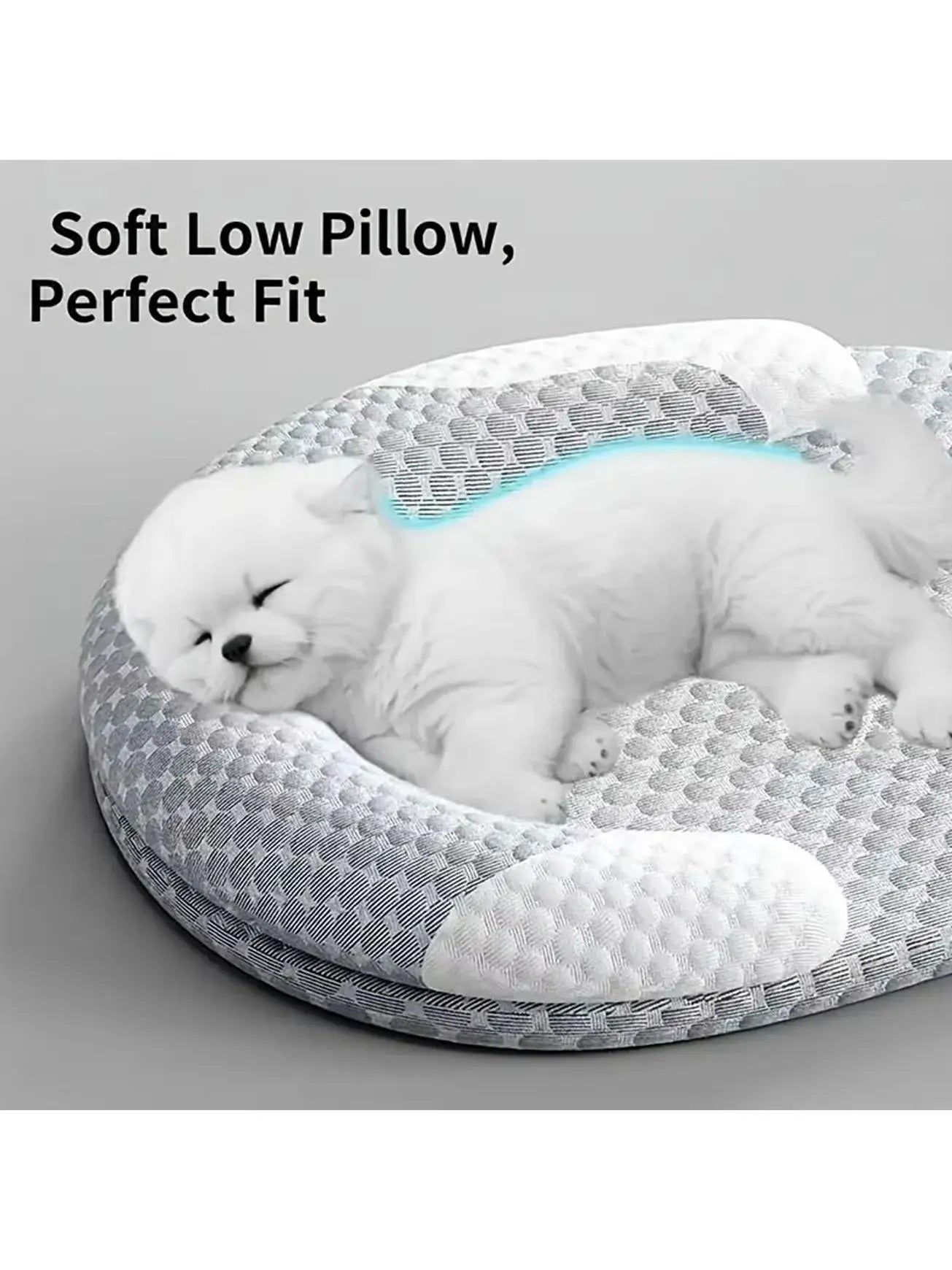 Machine washable dog bed for year-round comfort