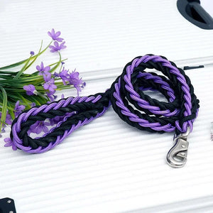 Braided nylon rope leash for medium to large dogs
