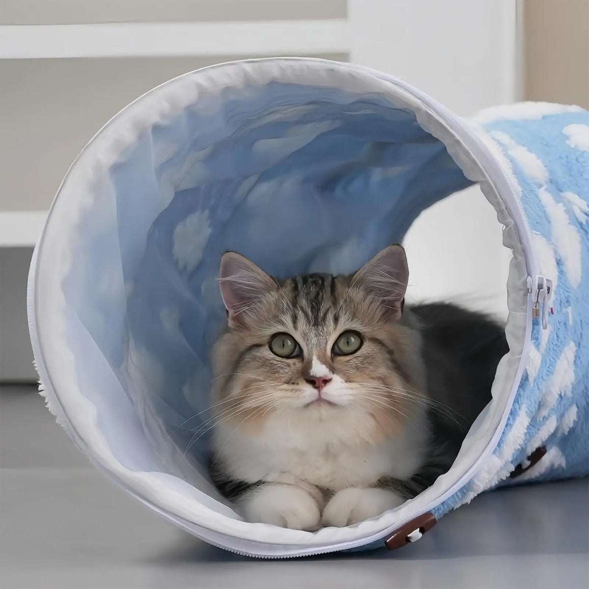 Donut tunnel bed with interactive ball and washable cushion for cats