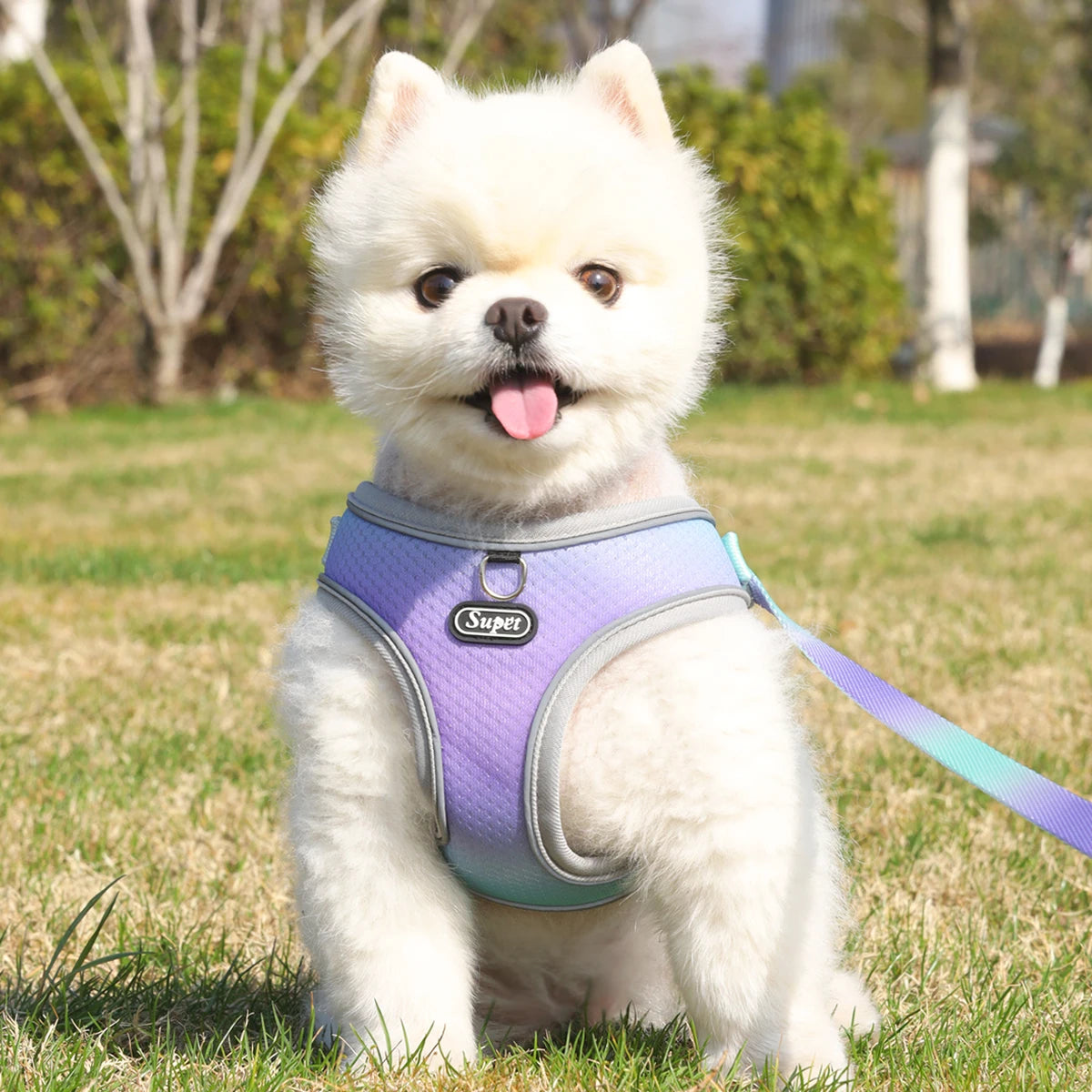 Adjustable reflective step-in vest harness for dogs and cats