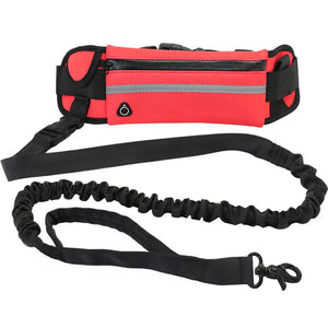 Hands-free reflective dog leash with adjustable waist belt