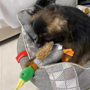Plush duck squeaky chew toy for small to medium dogs
