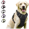 Front-clip reflective no-pull harness for medium to large dogs
