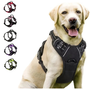 Front-clip reflective no-pull harness for medium to large dogs