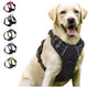 Front-clip reflective no-pull harness for medium to large dogs