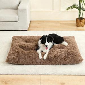 Soft plush cotton sofa bed for dogs and cats