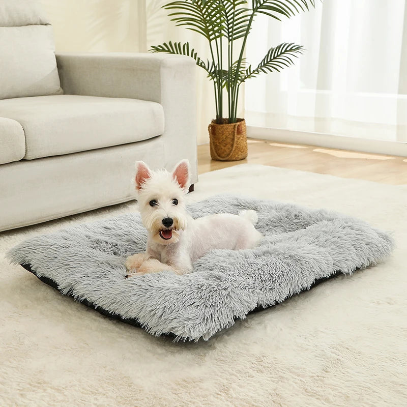 Soft plush cotton sofa bed for dogs and cats