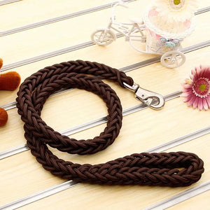 Braided nylon rope leash for medium to large dogs