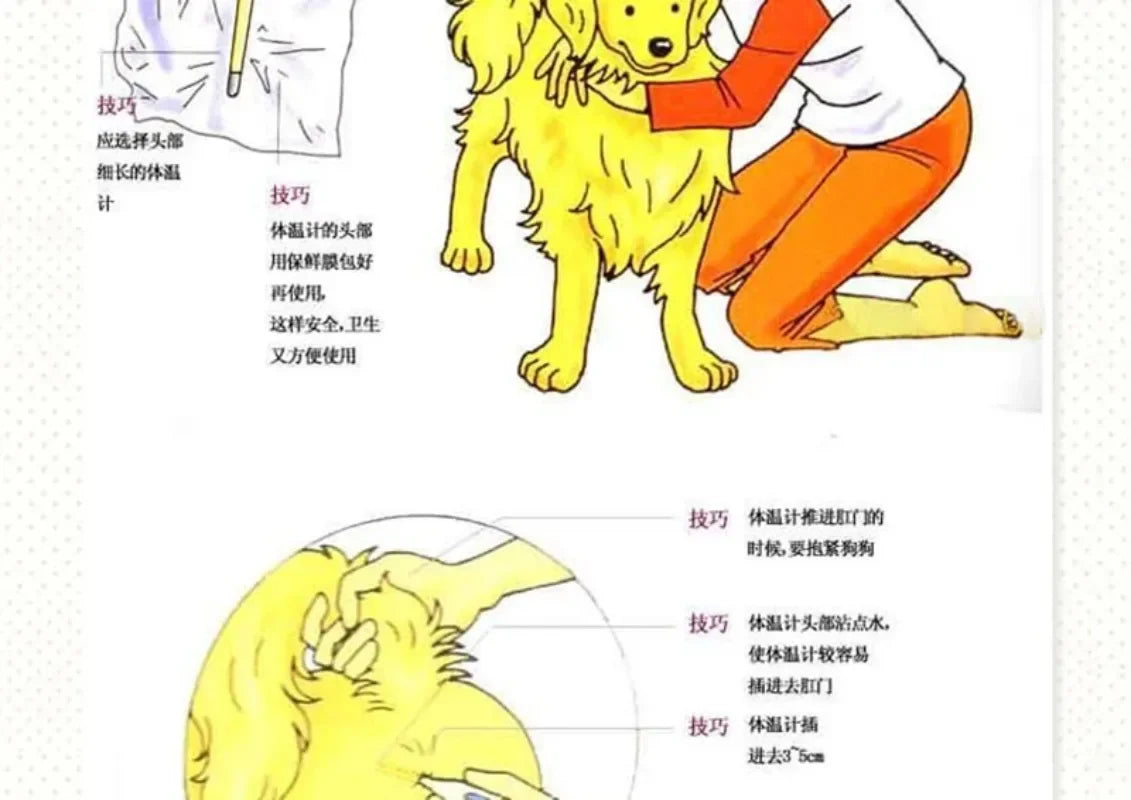 Digital LED pet thermometer for dogs and cats